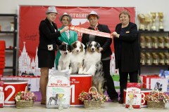 75339671_2559678327479007_3058465998395932672_n