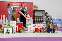 75540091_2559679004145606_8117989760015794176_n