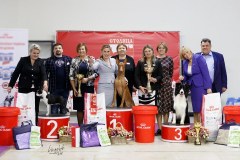 75576536_2560104967436343_1240129905019060224_n