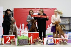 75594452_2559679114145595_212876257275150336_n