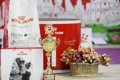 76604986_2559677754145731_3832244660743438336_n