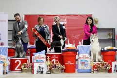 76654372_2559679330812240_6806151643663433728_n