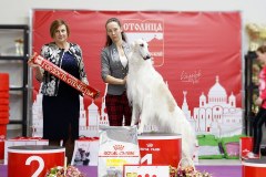 76713980_2559678697478970_6483579001070682112_n