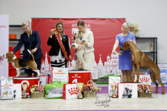 76756871_2559679054145601_1379950606835253248_n