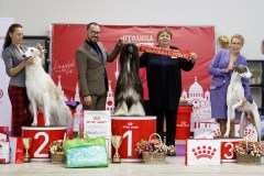 76767502_2559679257478914_6673489166270988288_n