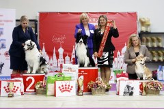 76921754_2559678800812293_3680914404351672320_n