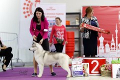 77047159_2559677664145740_1659277605976670208_n