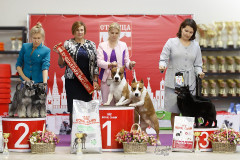 77185552_2559678207479019_566536057839943680_n