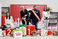 77315993_2559679200812253_6533750674423808000_n