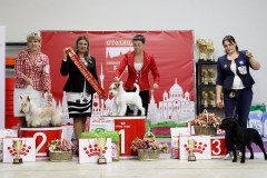 78195125_2559678870812286_7736537346337669120_n