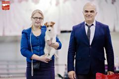 Выставка "СТОЛИЦА -ВЕСНА 2017"