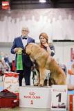18192980_1287087788071407_6350682697549783544_o