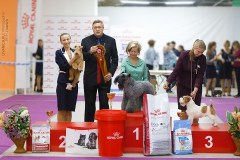 59497315_2191319787648198_1341276891646001152_n