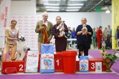 59522991_2191319477648229_3229246022777569280_n