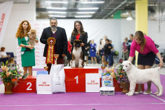 59546592_2191318624314981_5384223027204456448_n