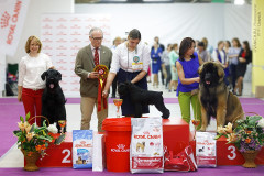 59557869_2191319027648274_5383763259545354240_n