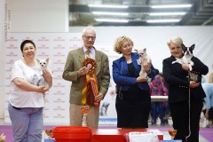 59561943_2191318447648332_450795880442757120_n