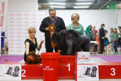 59570348_2191317947648382_6513310280817049600_n