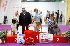 59596533_2191319067648270_2263242444080414720_n