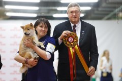 59623164_2191316970981813_78860770695184384_n