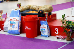 59674173_2191320120981498_6674841788911452160_n