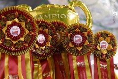 59755408_2191319424314901_4368332621680214016_n