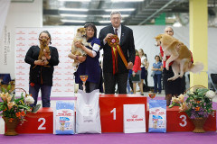 59761610_2191318800981630_5897051141778178048_n