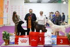 59762114_2191319977648179_5863295486265393152_n