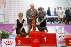 59762173_2191319864314857_517283425883783168_n