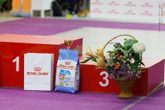 59774694_2191316780981832_6494562082850078720_n