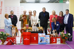 59794575_2191320314314812_2072325237898215424_n