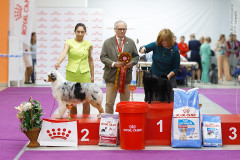 59879799_2191319697648207_8363672433491705856_n