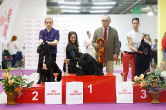 60006438_2191318870981623_7182973262257717248_n