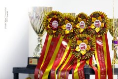 60040105_2191318554314988_8133468843625414656_n