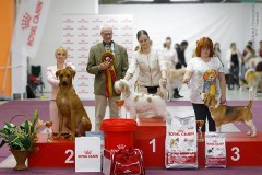 60133816_2191319247648252_4189798214234275840_n