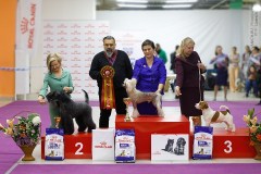 60182181_2191319657648211_3541649690346913792_n