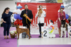 IMG_5066-копия-2-2