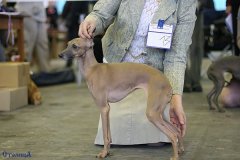 725_313259748787554_1313131640_n